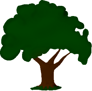 Drzewo genealogiczne bez autorytetów
